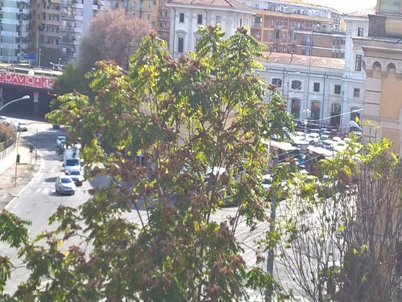 Elegance Scalini Di Trastevere Roma Ngoại thất bức ảnh